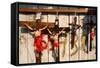 Crucifixes for Sale-Danny Lehman-Framed Stretched Canvas