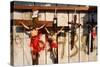 Crucifixes for Sale-Danny Lehman-Stretched Canvas