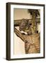 Crucifixion, 1529-null-Framed Giclee Print