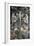 Crucifixion, Fresco-Gaudenzio Ferrari-Framed Giclee Print