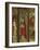 Crucifixion, Madonna Enthroned and Saints, Detail from Right Chapel Altarpiece-null-Framed Giclee Print