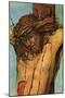 Crucifixion-Albrecht Altdorfer-Mounted Art Print
