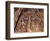 Crucifixion-null-Framed Giclee Print