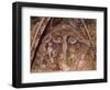 Crucifixion-null-Framed Giclee Print