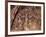 Crucifixion-null-Framed Giclee Print