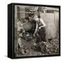 Crude Rubber from Brazil in a Rubber Cracking Machine, Goodyear Tire Factory, Akron, Ohio, 1928-null-Framed Stretched Canvas