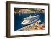 Cruise Liner in Kotor Bay near the Old City. Top View from the Mountain-RossHelen-Framed Photographic Print