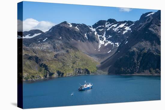 Cruise ship anchoring in the bay of Godthul, South Georgia, Antarctica, Polar Regions-Michael Runkel-Stretched Canvas