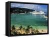 Cruise Ship and Turtle Beach, Ocho Rios, Jamaica-Doug Pearson-Framed Stretched Canvas