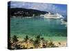 Cruise Ship and Turtle Beach, Ocho Rios, Jamaica-Doug Pearson-Stretched Canvas