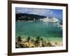 Cruise Ship and Turtle Beach, Ocho Rios, Jamaica-Doug Pearson-Framed Photographic Print