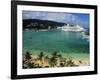 Cruise Ship and Turtle Beach, Ocho Rios, Jamaica-Doug Pearson-Framed Photographic Print