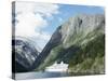 Cruise Ship at Gudvangen, Naeroyfjorden, Unesco World Heritage Site, Western Fiordlands, Norway-Tony Waltham-Stretched Canvas