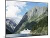 Cruise Ship at Gudvangen, Naeroyfjorden, Unesco World Heritage Site, Western Fiordlands, Norway-Tony Waltham-Mounted Photographic Print