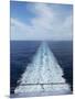 Cruise Ship, Bahamas, West Indies, Caribbean, Central America-Angelo Cavalli-Mounted Photographic Print