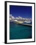 Cruise Ship, Cozumel, Mexico-Walter Bibikow-Framed Premium Photographic Print