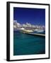 Cruise Ship, Cozumel, Mexico-Walter Bibikow-Framed Photographic Print