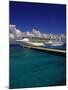 Cruise Ship, Cozumel, Mexico-Walter Bibikow-Mounted Photographic Print