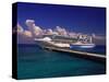 Cruise Ship, Cozumel, Mexico-Walter Bibikow-Stretched Canvas