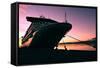 Cruise Ship Docked in Ushuaia at Sunrise-Neale Cousland-Framed Stretched Canvas