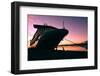 Cruise Ship Docked in Ushuaia at Sunrise-Neale Cousland-Framed Photographic Print