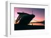 Cruise Ship Docked in Ushuaia at Sunrise-Neale Cousland-Framed Photographic Print