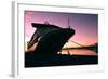 Cruise Ship Docked in Ushuaia at Sunrise-Neale Cousland-Framed Photographic Print