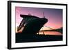 Cruise Ship Docked in Ushuaia at Sunrise-Neale Cousland-Framed Photographic Print