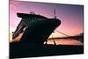 Cruise Ship Docked in Ushuaia at Sunrise-Neale Cousland-Mounted Photographic Print