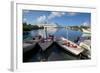 Cruise Ship in St. Johns Harbour-Frank Fell-Framed Photographic Print