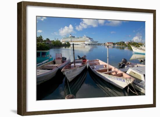 Cruise Ship in St. Johns Harbour-Frank Fell-Framed Photographic Print