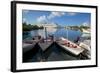 Cruise Ship in St. Johns Harbour-Frank Fell-Framed Photographic Print