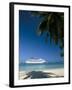 Cruise Ship, Ocho Rios, Jamaica, West Indies, Central America-Sergio Pitamitz-Framed Photographic Print