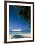 Cruise Ship, Ocho Rios, Jamaica, West Indies, Central America-Sergio Pitamitz-Framed Photographic Print