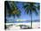 Cruise Ship, Ocho Rios, Jamaica, West Indies, Central America-Sergio Pitamitz-Stretched Canvas