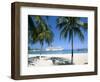 Cruise Ship, Ocho Rios, Jamaica, West Indies, Central America-Sergio Pitamitz-Framed Photographic Print