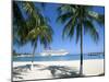 Cruise Ship, Ocho Rios, Jamaica, West Indies, Central America-Sergio Pitamitz-Mounted Photographic Print