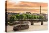 Cruise Ship On The Seine River In Paris, France-rglinsky-Stretched Canvas