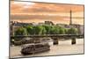 Cruise Ship On The Seine River In Paris, France-rglinsky-Mounted Art Print