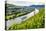 Cruise Ship Passing a Vineyard at Muehlheim, Moselle Valley, Rhineland-Palatinate, Germany, Europe-Michael Runkel-Stretched Canvas