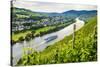 Cruise Ship Passing a Vineyard at Muehlheim, Moselle Valley, Rhineland-Palatinate, Germany, Europe-Michael Runkel-Stretched Canvas