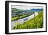 Cruise Ship Passing a Vineyard at Muehlheim, Moselle Valley, Rhineland-Palatinate, Germany, Europe-Michael Runkel-Framed Photographic Print