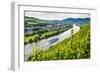 Cruise Ship Passing a Vineyard at Muehlheim, Moselle Valley, Rhineland-Palatinate, Germany, Europe-Michael Runkel-Framed Photographic Print