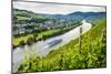 Cruise Ship Passing a Vineyard at Muehlheim, Moselle Valley, Rhineland-Palatinate, Germany, Europe-Michael Runkel-Mounted Photographic Print