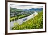 Cruise Ship Passing a Vineyard at Muehlheim, Moselle Valley, Rhineland-Palatinate, Germany, Europe-Michael Runkel-Framed Photographic Print