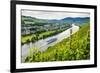 Cruise Ship Passing a Vineyard at Muehlheim, Moselle Valley, Rhineland-Palatinate, Germany, Europe-Michael Runkel-Framed Photographic Print