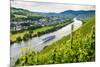 Cruise Ship Passing a Vineyard at Muehlheim, Moselle Valley, Rhineland-Palatinate, Germany, Europe-Michael Runkel-Mounted Photographic Print