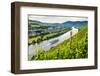 Cruise Ship Passing a Vineyard at Muehlheim, Moselle Valley, Rhineland-Palatinate, Germany, Europe-Michael Runkel-Framed Photographic Print