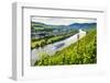 Cruise Ship Passing a Vineyard at Muehlheim, Moselle Valley, Rhineland-Palatinate, Germany, Europe-Michael Runkel-Framed Photographic Print