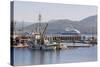 Cruise Ship Passing Harbour, Alert Bay, British Columbia, Canada, North America-Michael DeFreitas-Stretched Canvas